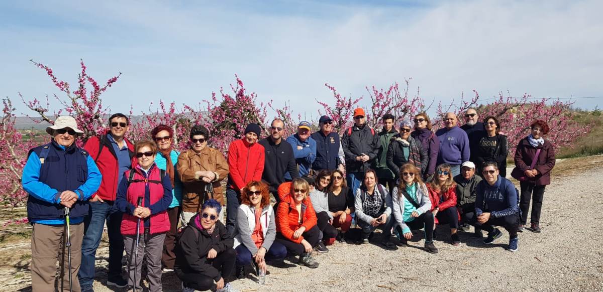 ruta senderista rotaria por la floración de Cieza