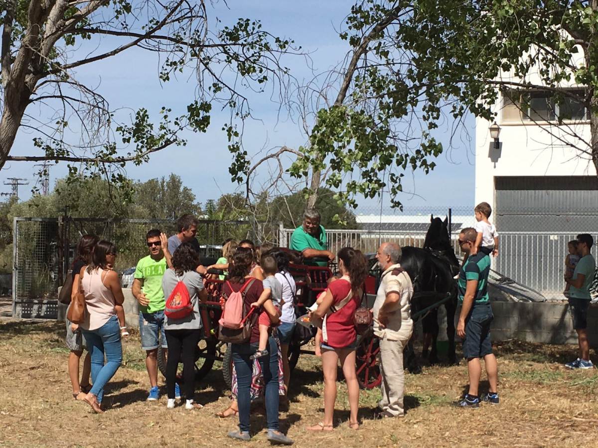 LOS SUPERNIÑOS EN DENIA