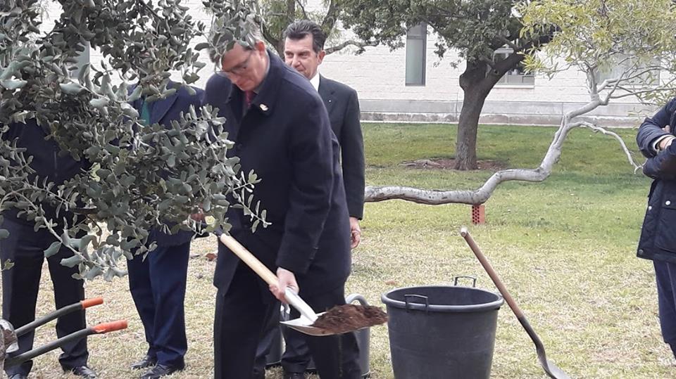 PLANTACIÓN DE ENCINA ROTARIA EN LA UNIVERSIDAD DE ALICANTE POR TODOS LOS CLUBES ROTARIOS y ROTARACT DE ALICANTE